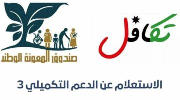 صندوق المعونة الوطني.. يعلن عن رابط التسجيل في برنامج الدعم التكميلي في الأردن 2024