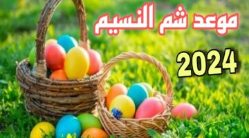 اسبوع إجازة تاااني.. عطلة شم النسيم مع عيد العمال و الإجازات المتبقية 2024