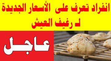 بشري سارة للمصرين.. تراجع كبير في سعر رغيف العيش السياحي والفينو