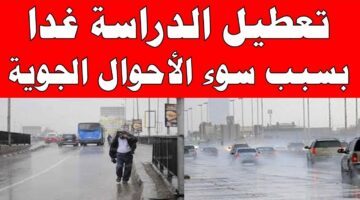 التعليم الإماراتي.. تعليق الدراسة في جميع المدارس غدًا الأربعاء بسبب سوء الأحوال الجوية